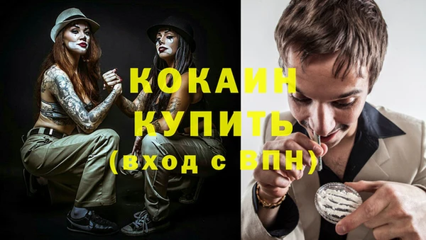 гидра Аркадак