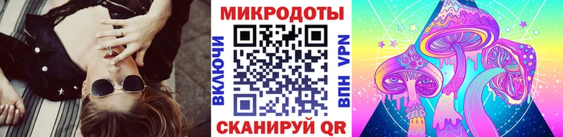 Псилоцибиновые грибы Cubensis  Медынь 