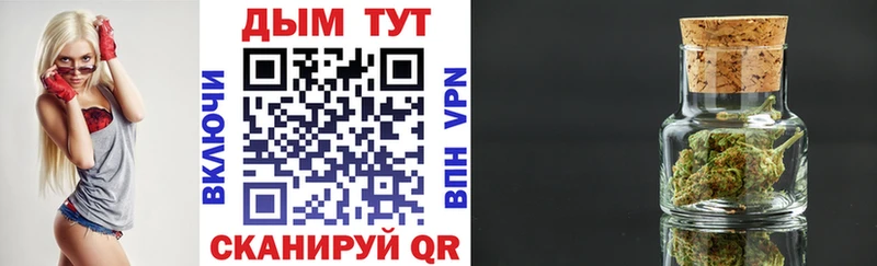 Канабис сатива  что такое   Медынь 